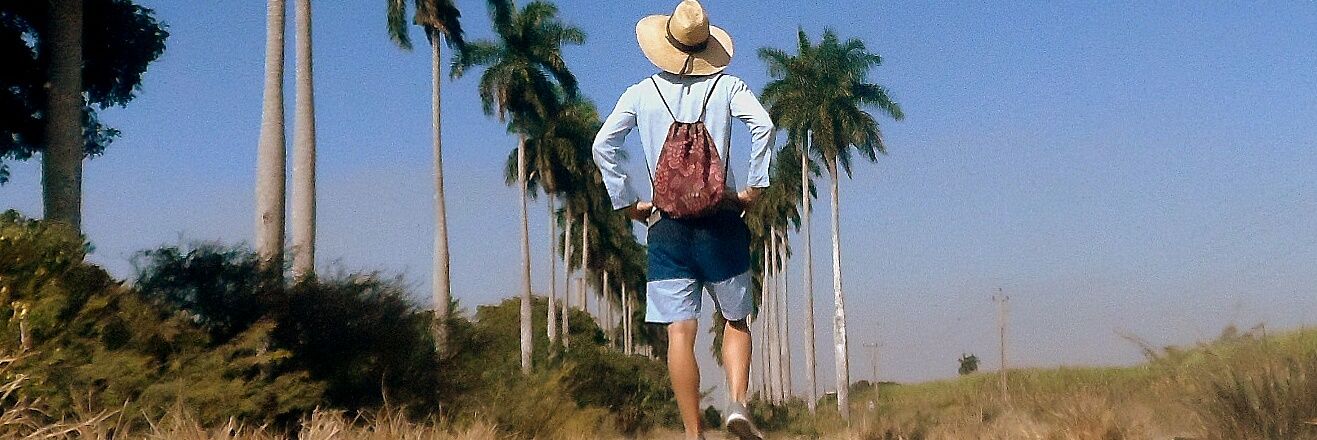 Delvis Toledo banner