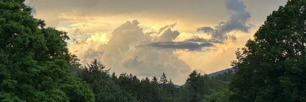 roscoebradyjr Profile Banner