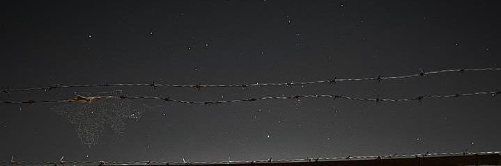 LovelyRGD's profile banner image