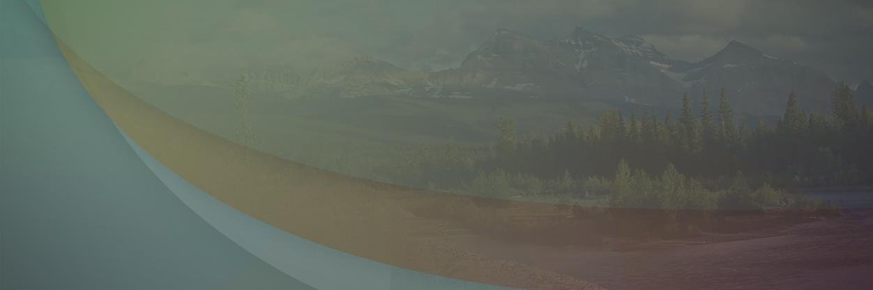 ch2daybreak's profile banner image