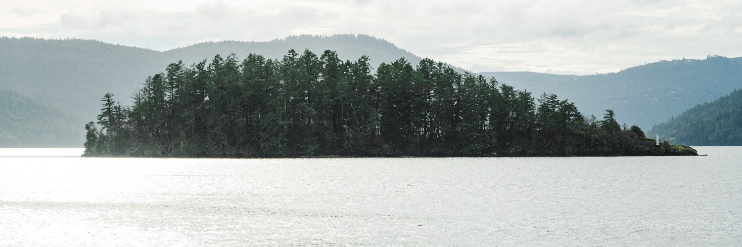 SilkenLaumann's profile banner image