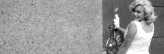 taylorfrantz's profile banner image