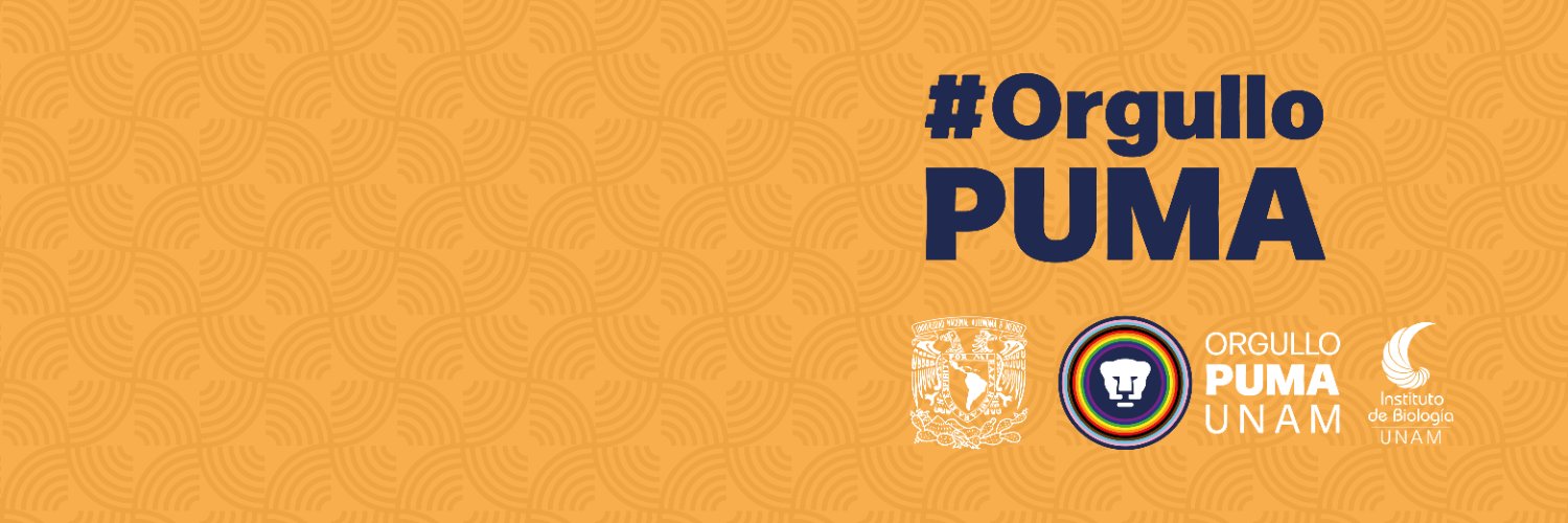 ib_unam's profile banner image