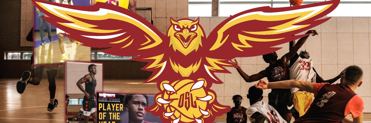 🍇 #OSL 🍇 banner