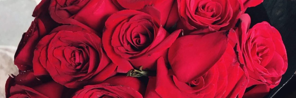 shakiraeddy's profile banner image