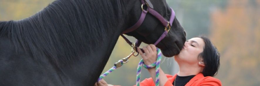 LauraSimiele's profile banner image