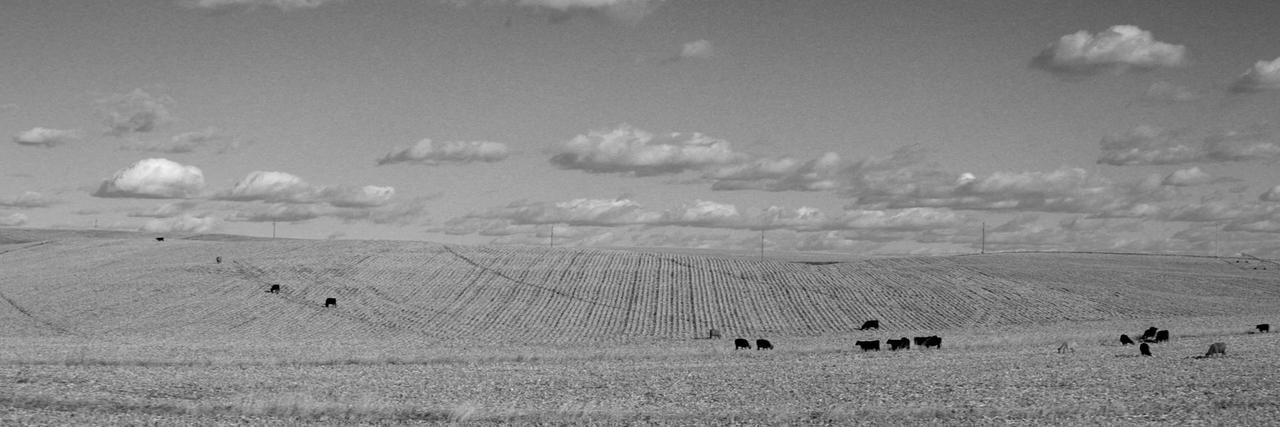 Santiago Muñoz banner