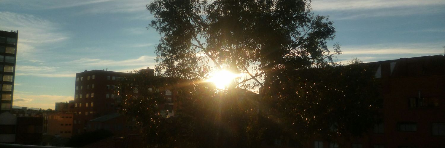 Gustavo Torres banner