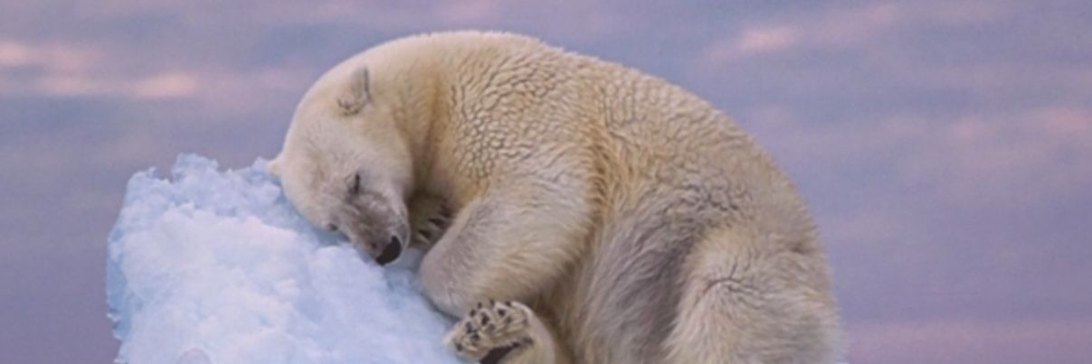 Patrick Henry banner