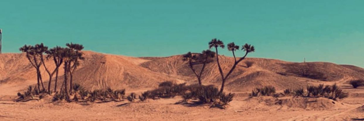 qi_s77's profile banner image
