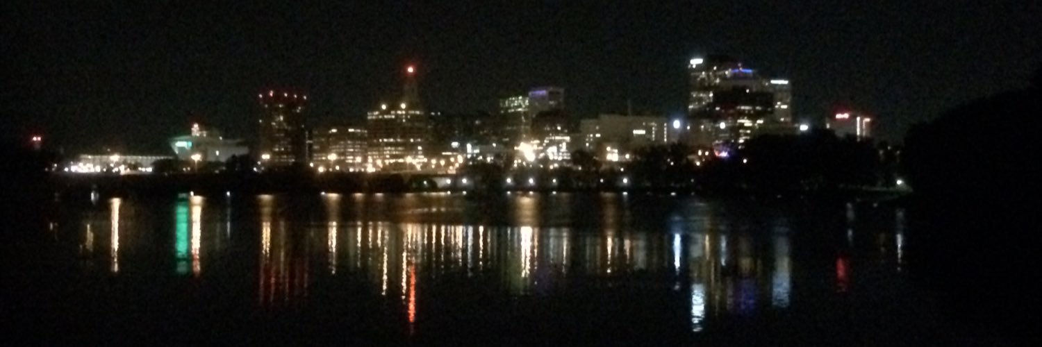 Nicole Selmanie banner