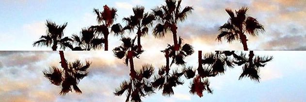 amica00's profile banner image