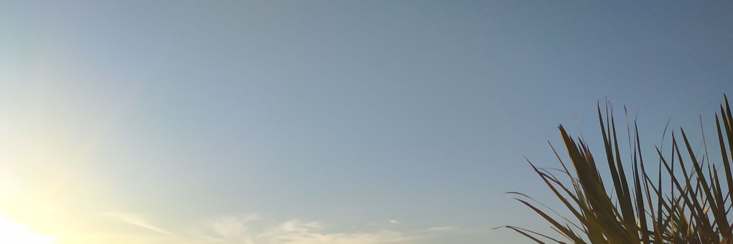 Isabelle Paques ☦️🕊 banner