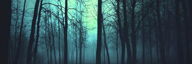 __LexaHagg's profile banner image