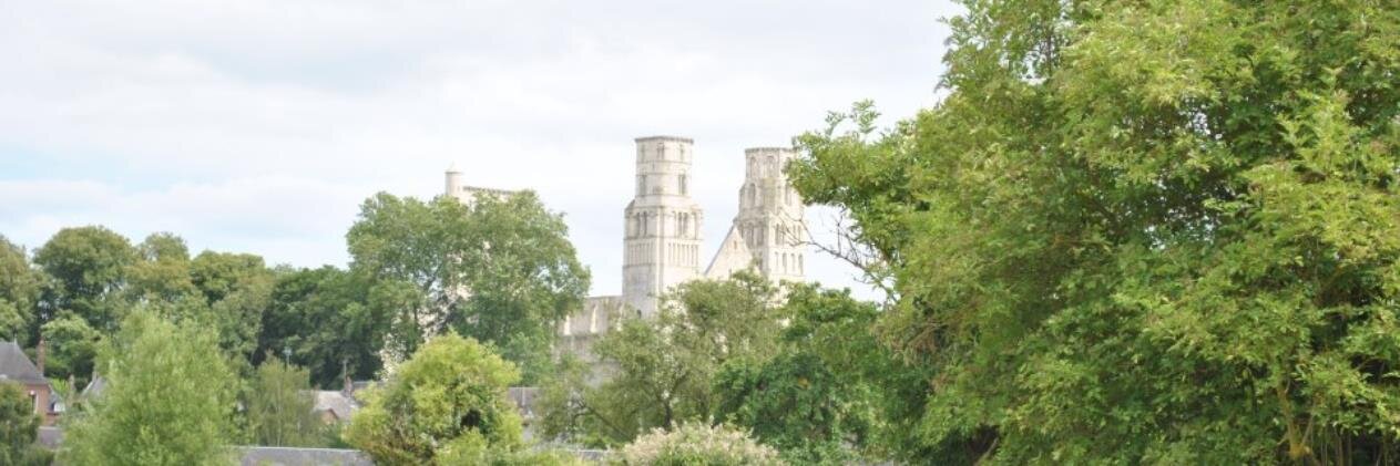 Samuel Beauchef banner