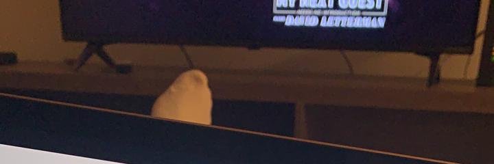 mbbbbbbu's profile banner image