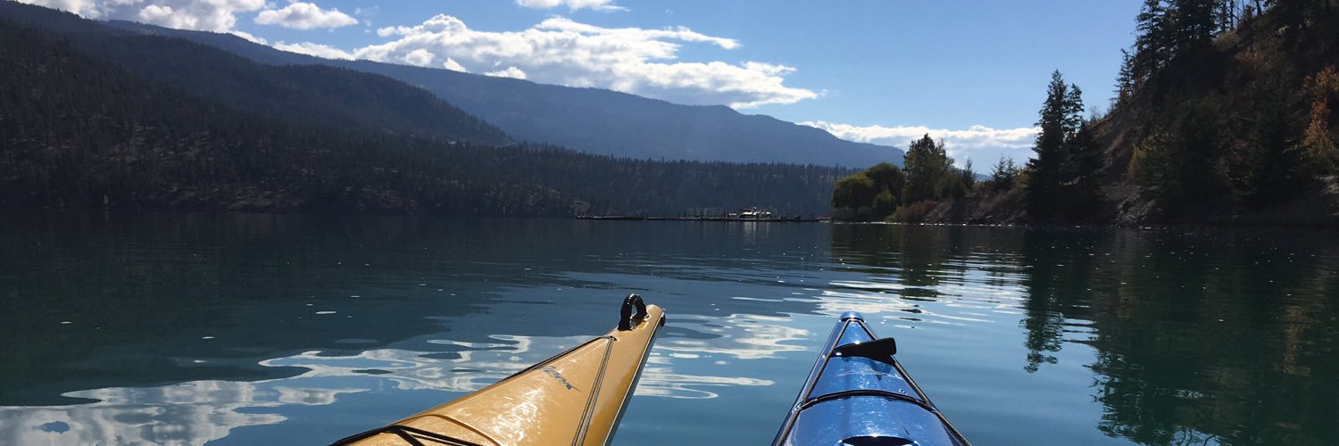 Lael Phillips banner