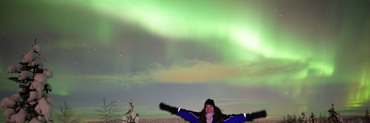 MishyMarcucci's profile banner image