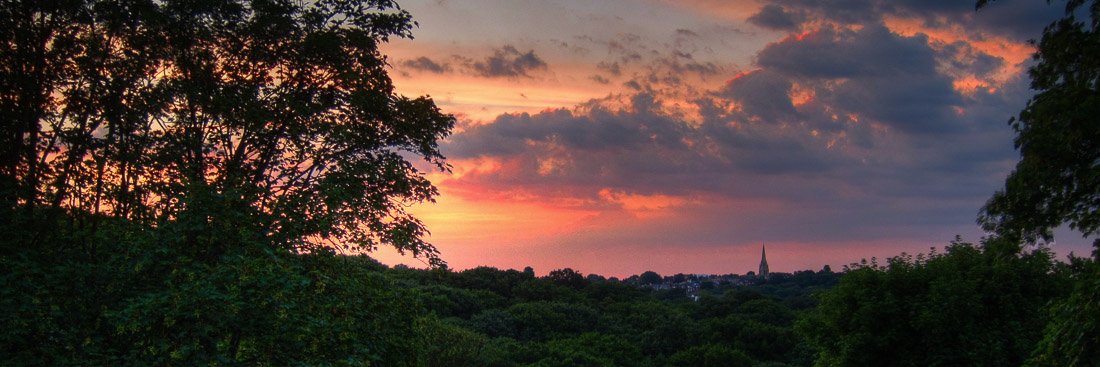 CarlTee66's profile banner image