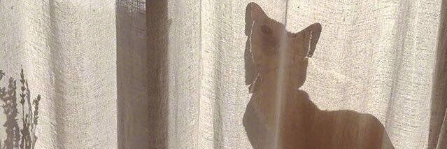 GarfieldBABE's profile banner image