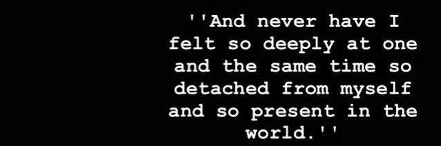 Carll 🇵🇸 banner