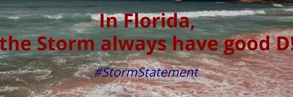 SFL_Storm Profile Banner