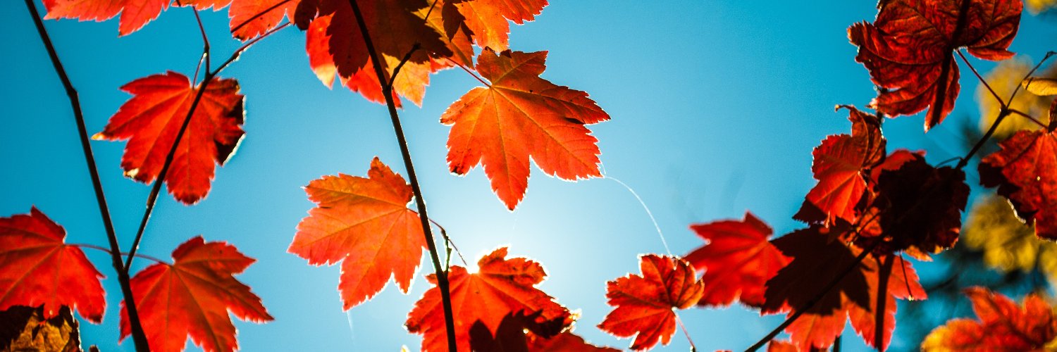 SCRDCanada's profile banner image