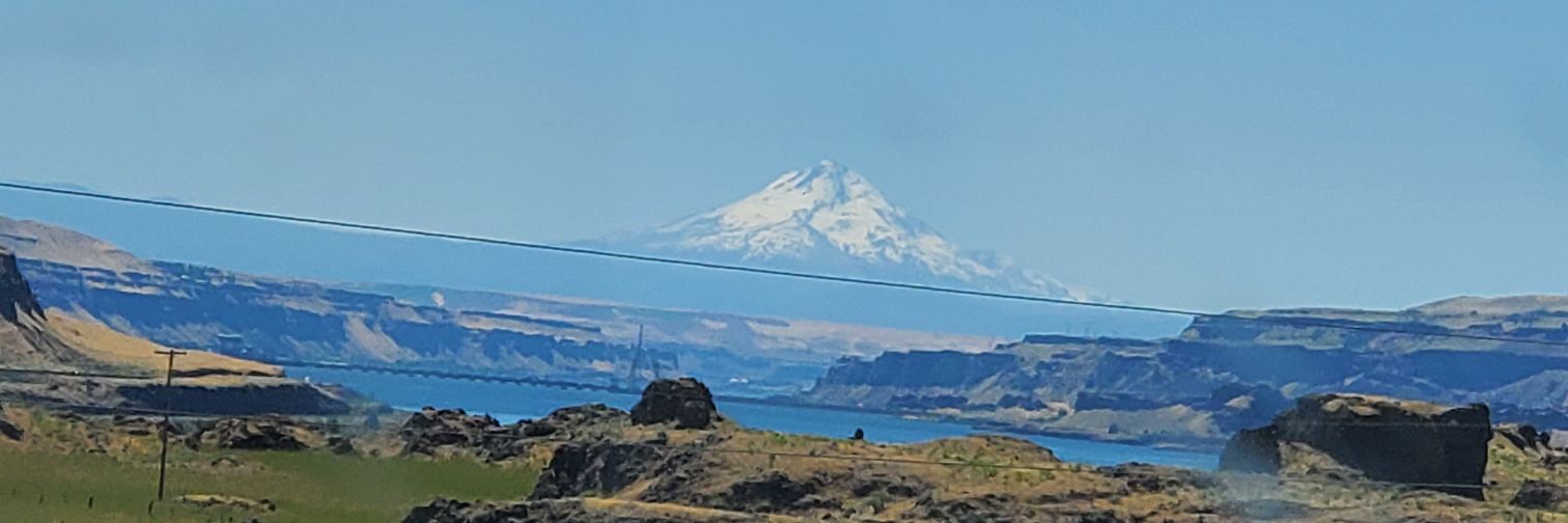 Buddy's Human banner