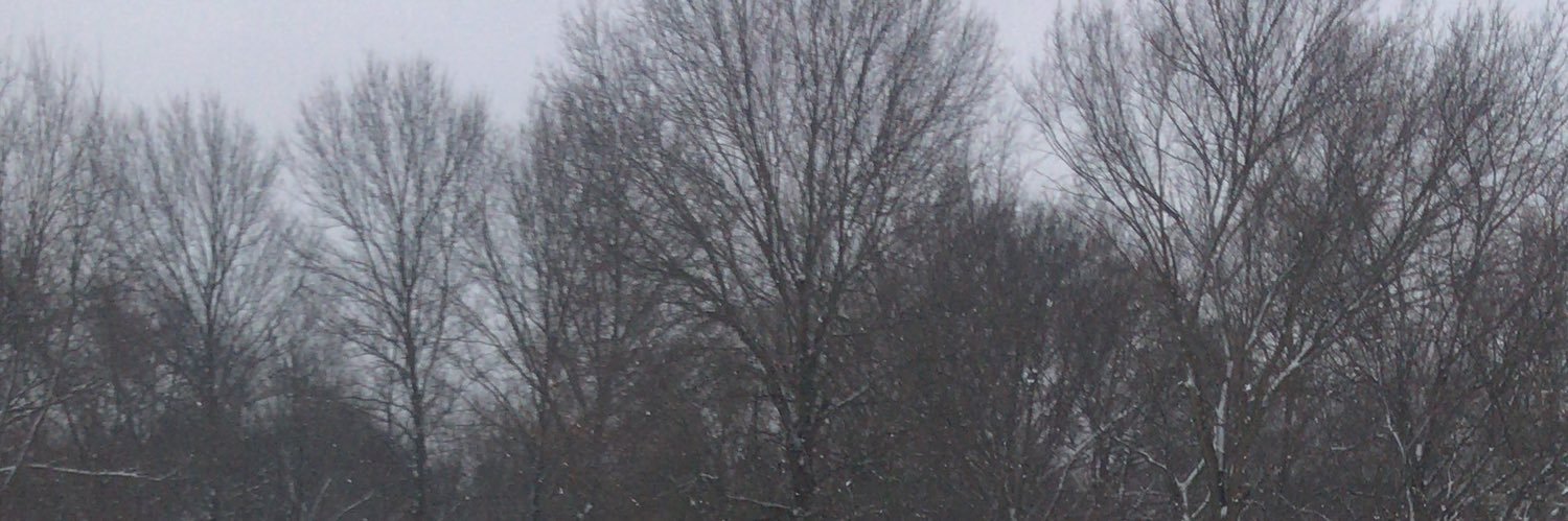 Feezanolli's profile banner image