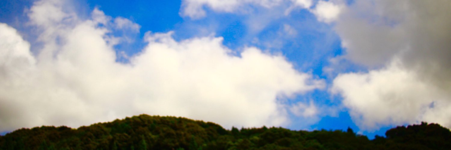 forester530's profile banner image