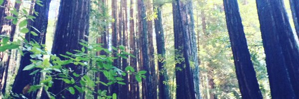 piresalda1 Profile Banner