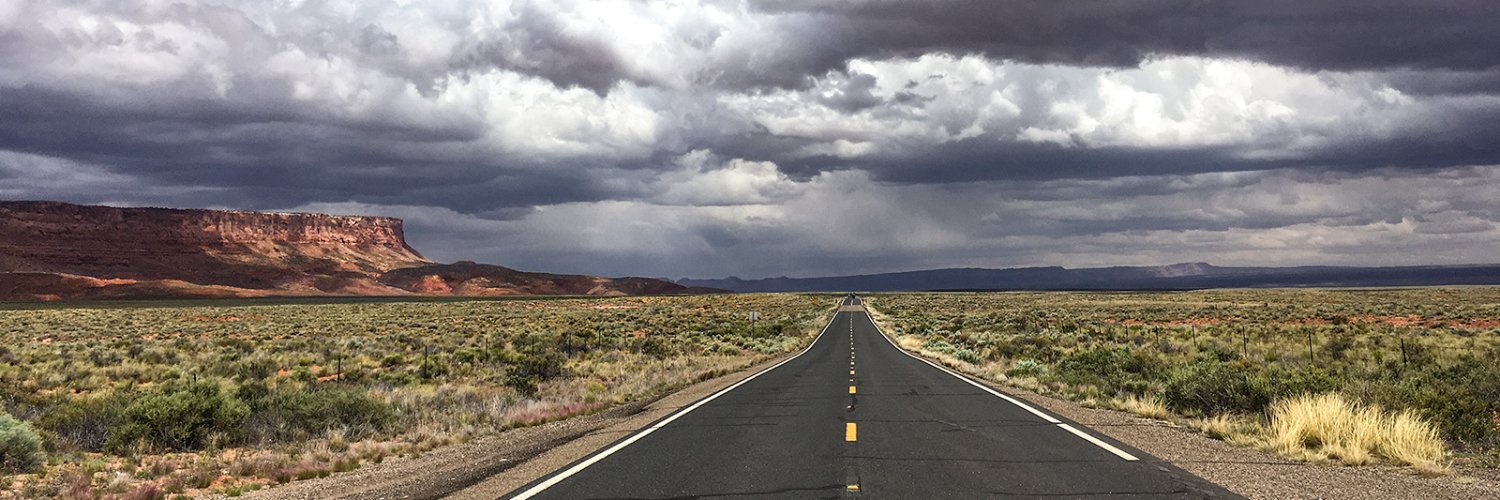 Danielle Bartholomew banner