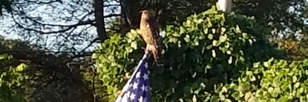 PatriotHuth Profile Banner