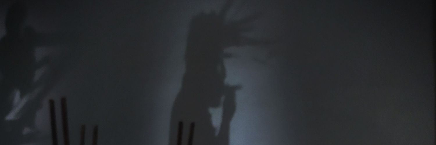 diegoapulidod's profile banner image