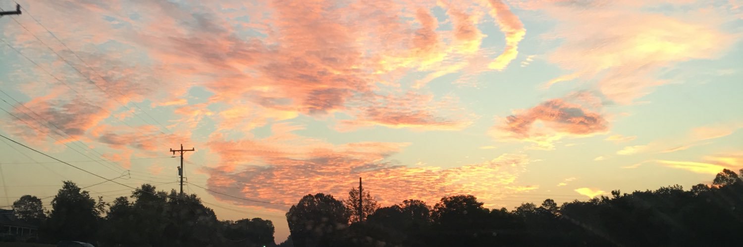 hayleebrier's profile banner image