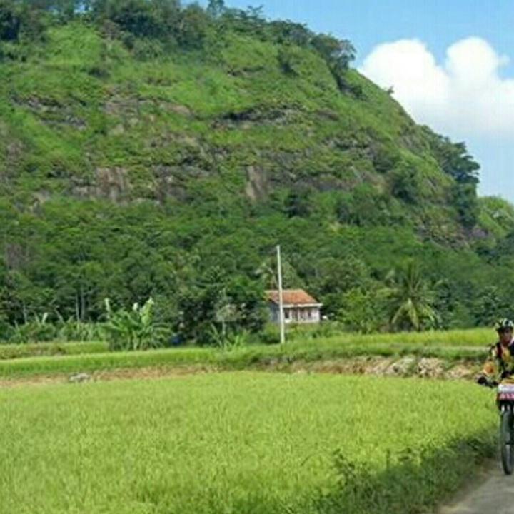 DediPurwandi's profile banner image