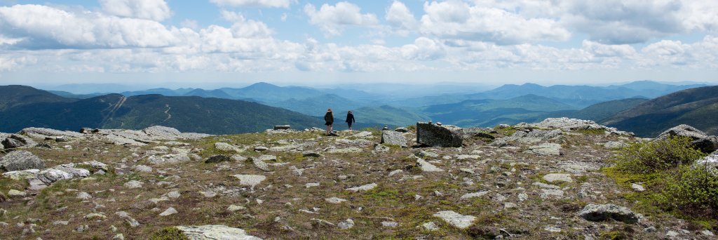 Ms_laurendm's profile banner image