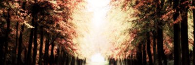 CPFDKS's profile banner image