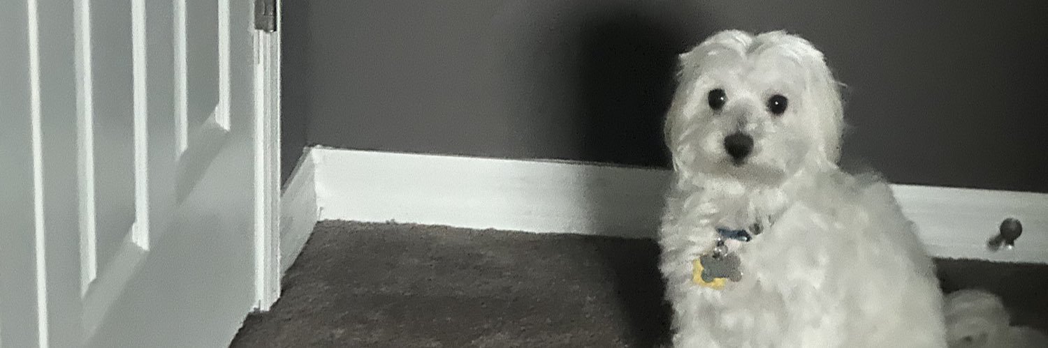sofiaᵛ banner