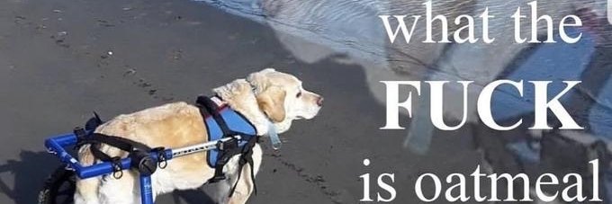 lobster's banner