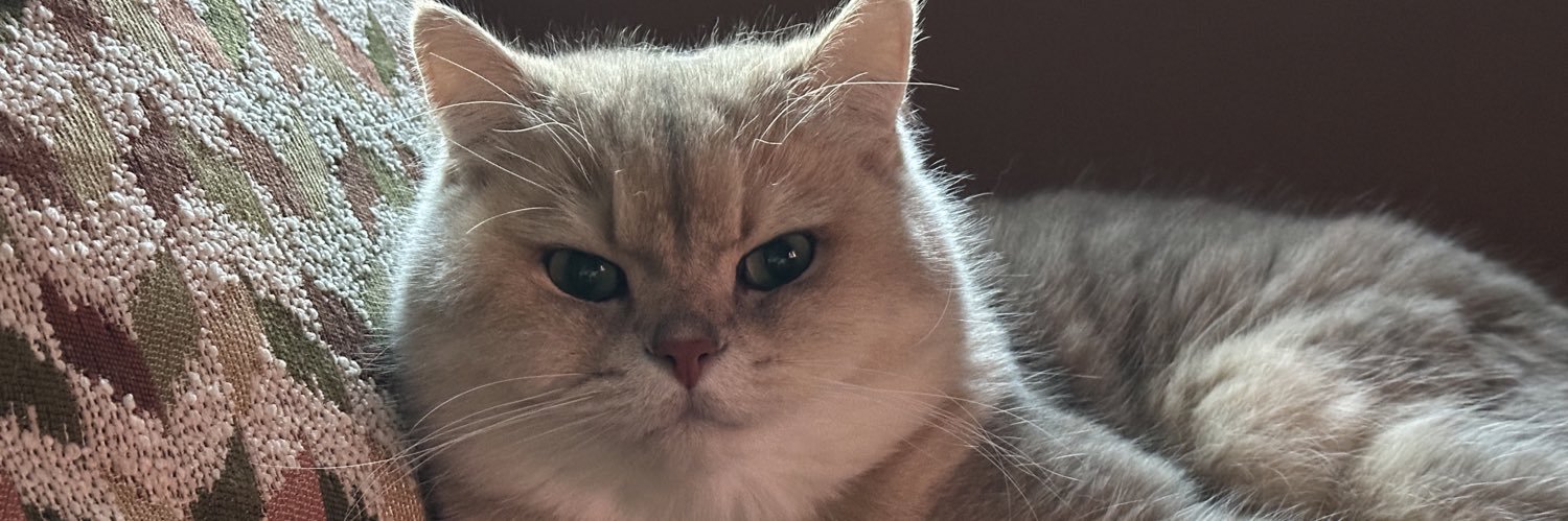 ritadevries1's profile banner image