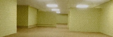 surgex banner