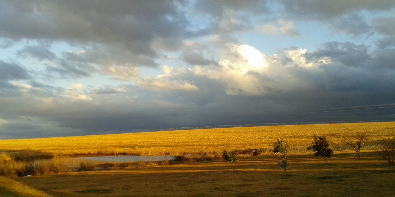 ange_deboer's profile banner image