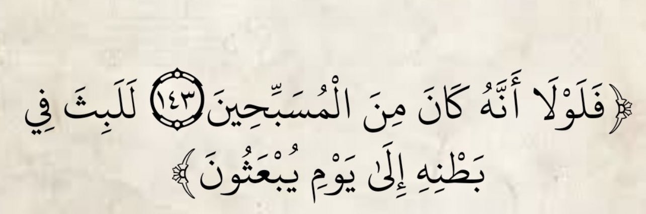 عز شيلبي banner