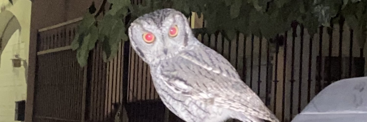 Quik de Oreo™️ banner