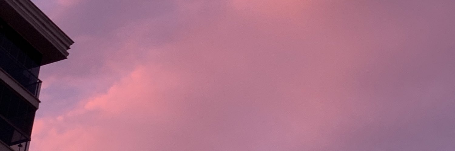 sevincguul's profile banner image