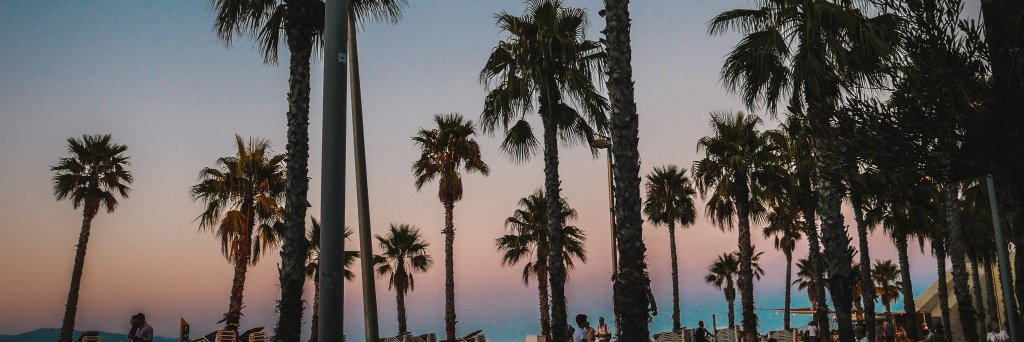 LuRoj's profile banner image