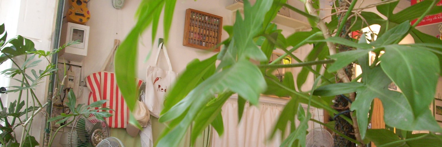 tngchuww's profile banner image