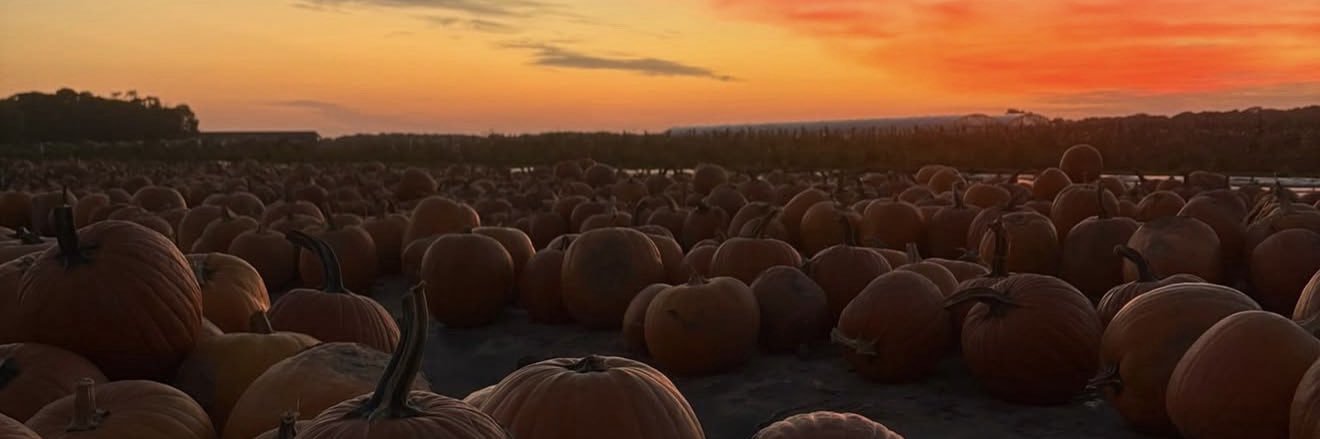 ‏☀️ قܣܐܡ ܣܠܝܡܐܢ banner