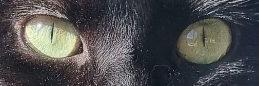 L𓆗 bts year banner